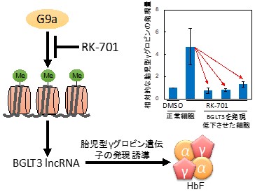 東京シンポジウム 神経系とメチルB12（単行本） Yuzaki Lab » 単行本・総説（日本語）・記事